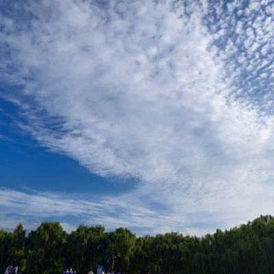 空战飞行员二战太平洋中文版下载