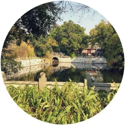 天天赛马手游下载